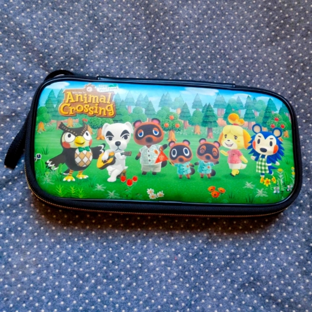 Nintendo switch case